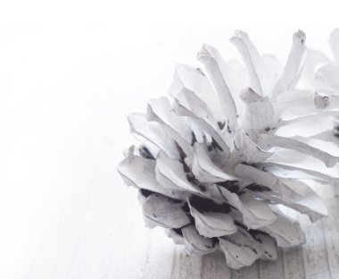 Mutlu Noeller ve mutlu yıllar.