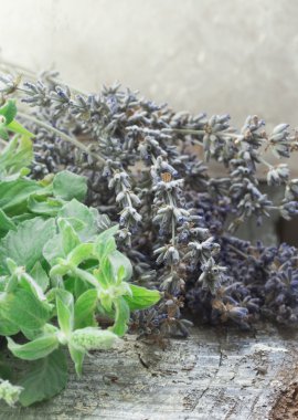 Taze nane ve kuru lavanta