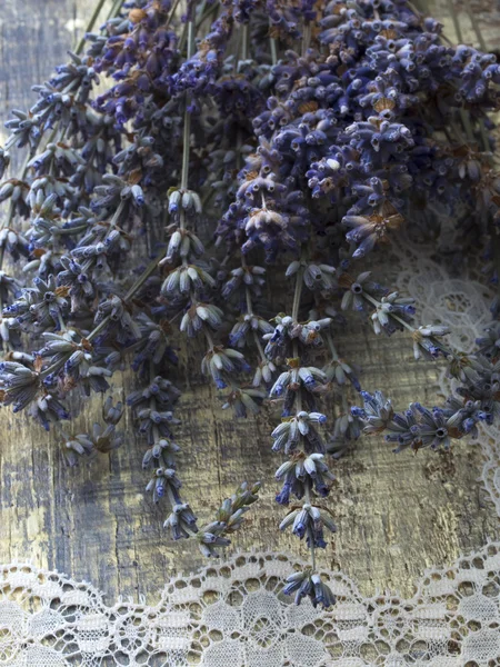 Сухие лавандовые цветы — стоковое фото