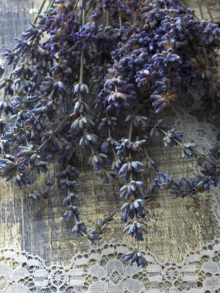 Fiori di lavanda secca — Foto Stock