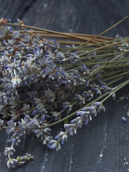 Dry lavender flowers — Stock Photo, Image
