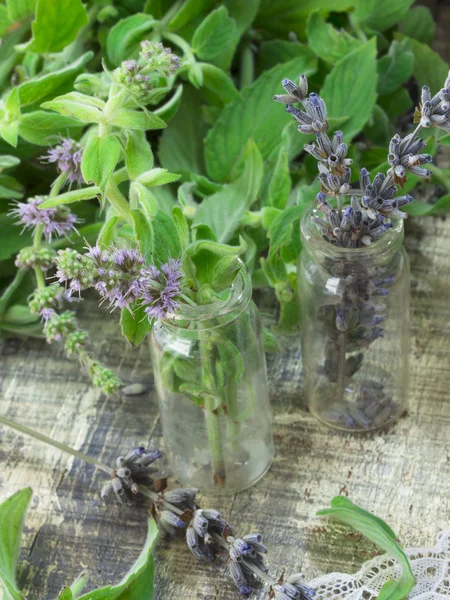 Fresh mint and dry lavender — Stock Photo, Image