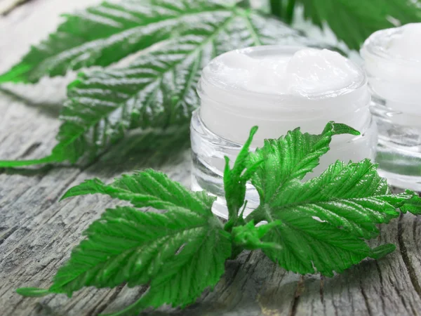 Natural moisturizer facial cream — Stock Photo, Image