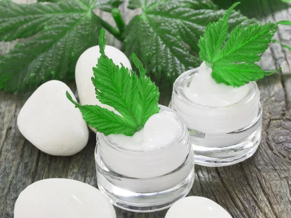 Natural moisturizer facial cream — Stock Photo, Image