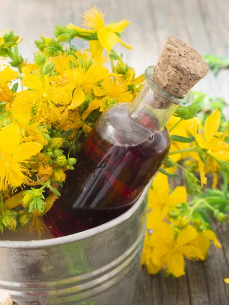 St John's wort oil — Stock Photo, Image