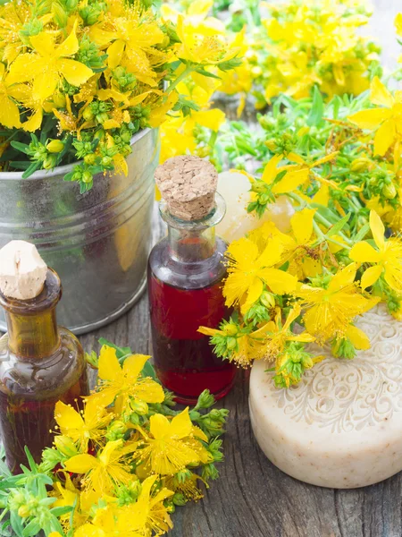 St John's wort oil — Stock Photo, Image