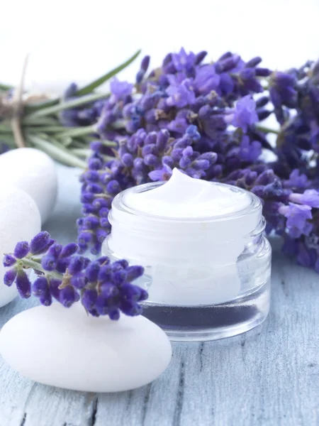 Natural facial cream wtih lavender — Stock Photo, Image