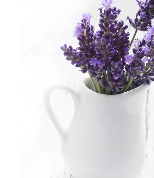 Цветы лаванды в вазе — стоковое фото