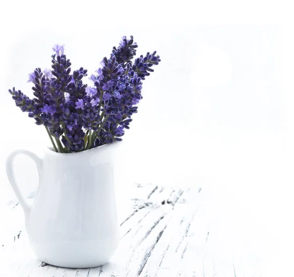 Lavendel blommor i vas — Stockfoto