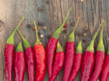 sıcak kırmızı biber