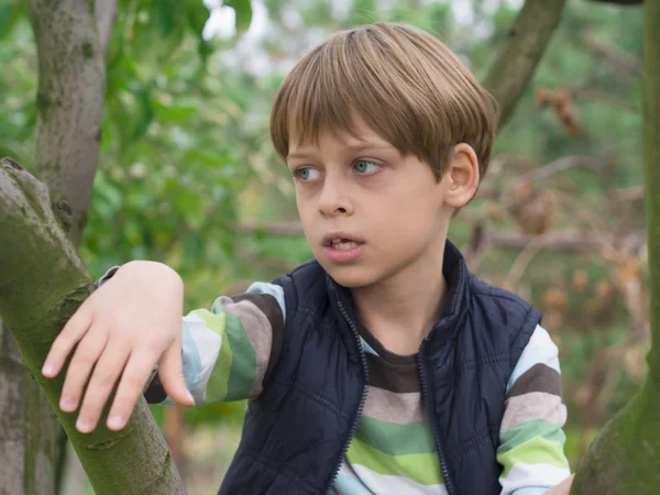 Niedliches Jungen-Porträt — Stockfoto