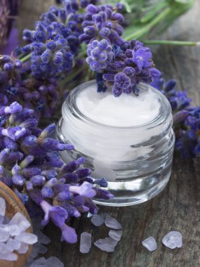 lavanta ile yüz kremi