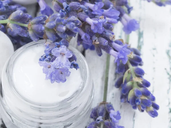 Facial cream with lavender — Stock Photo, Image