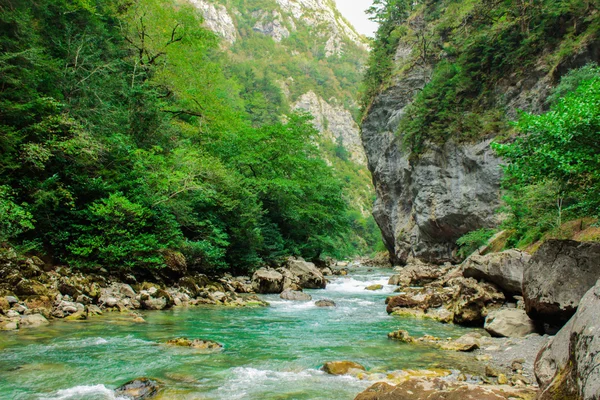 Río de montaña — Foto de Stock