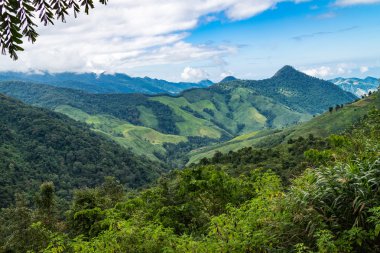 Dağ Manzaralı orman Tayland peyzaj