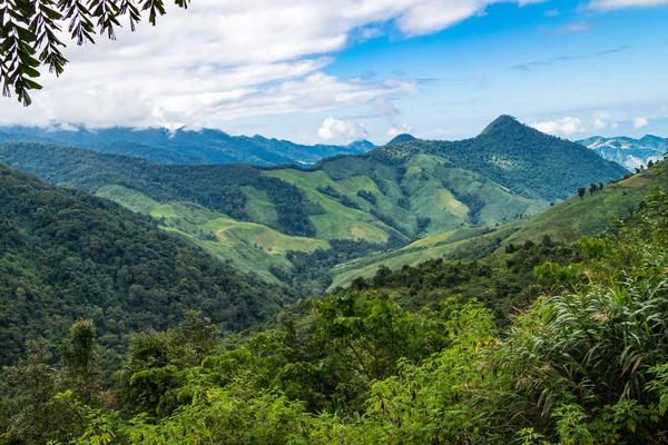 Paisagem da floresta vista montanha na Tailândia — Fotografia de Stock