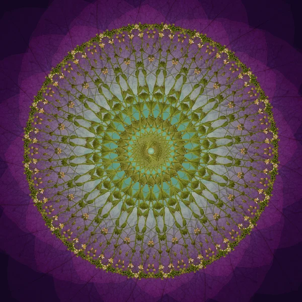 Yeşil çiçek Mandala mor arka plan ile. Dekoratif yuvarlak çiçek desenli. — Stok fotoğraf