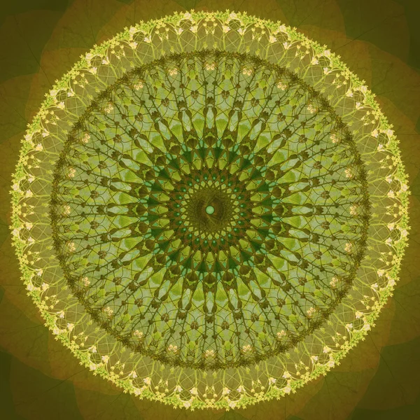 Gele bloem Mandala met Sepia achtergrond. Decoratieve ronde bloemmotief. — Stockfoto
