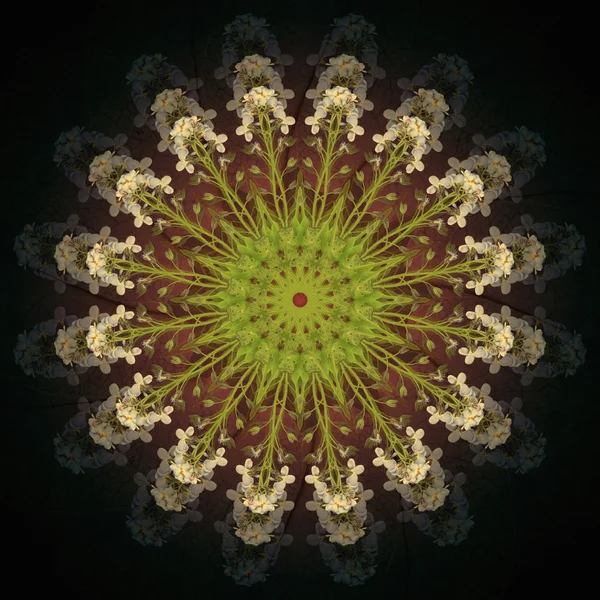 Blumen-Mandala mit dunklem Hintergrund. ornamentales rundes Blumenmuster. — Stockfoto