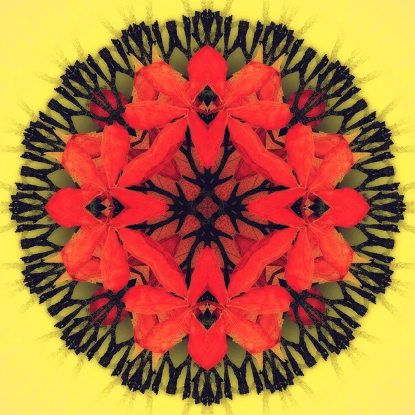 Mandala flor vermelha com fundo amarelo. Padrão floral redondo ornamental . — Fotografia de Stock