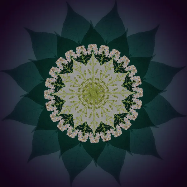 Mandala Fiore Blu con sfondo scuro. Modello floreale rotondo ornamentale . — Foto Stock