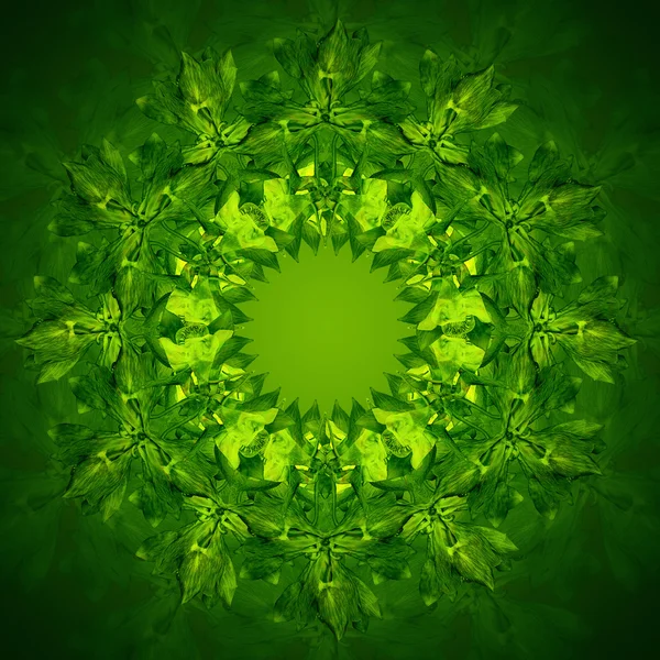 Mandala fiore verde con sfondo verde. Modello floreale rotondo ornamentale . — Foto Stock