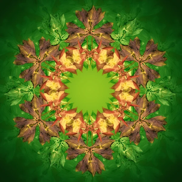 Růžový květ Mandala se zeleným pozadím. Ozdobné kulatý květinový vzor. — Stock fotografie