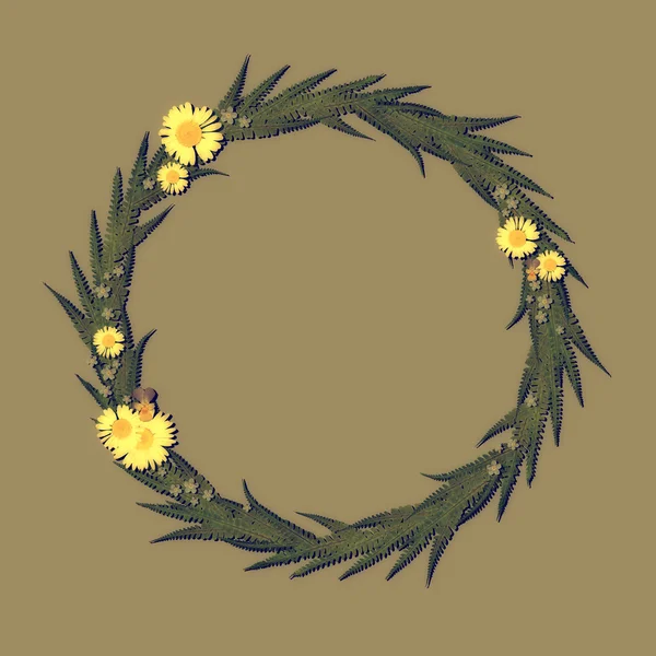 Floral Round Frame with chamomile, leaves and gray background. — Stock Photo, Image