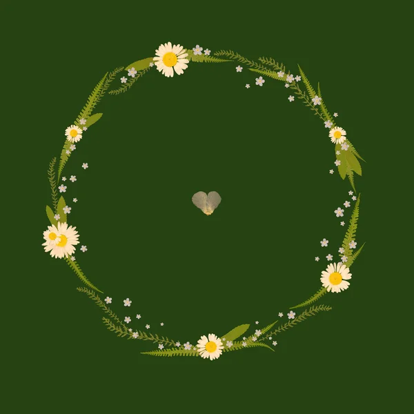 Floral Round Frame with Leaves, chamomile and green background. — Stock Photo, Image