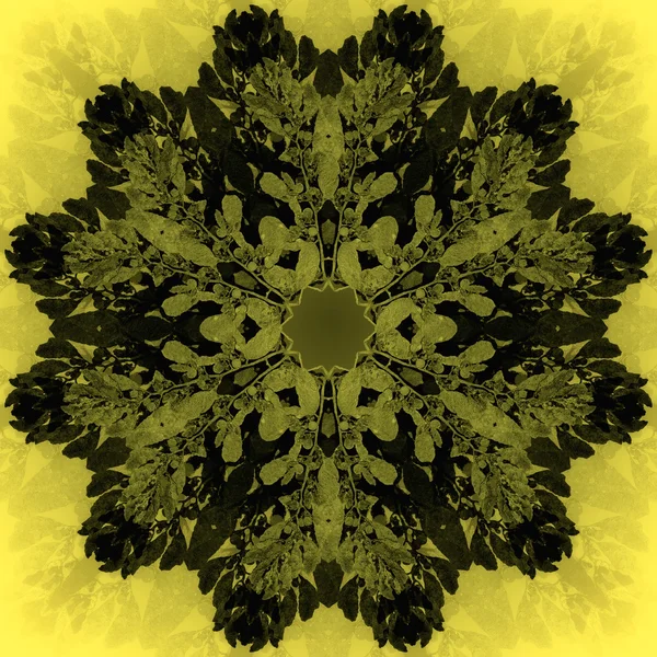 Зелений квітковий мандали з жовтим тлом. Декоративні круглі квітковий візерунок. — стокове фото