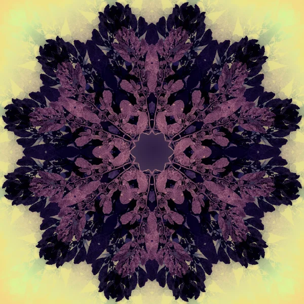 Mandala de flor púrpura con fondo claro. Patrón floral redondo ornamental . —  Fotos de Stock