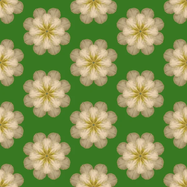 Imprimir padrão sem costura. Mandala Flores com fundo verde . — Fotografia de Stock