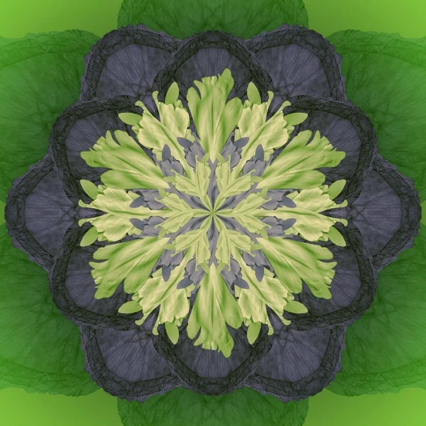 Mandala fiore con sfondo verde. Modello floreale rotondo ornamentale . — Foto Stock