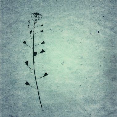 Çiçekler ve eski kağıt dokusu ile mavi Vintage kartı.