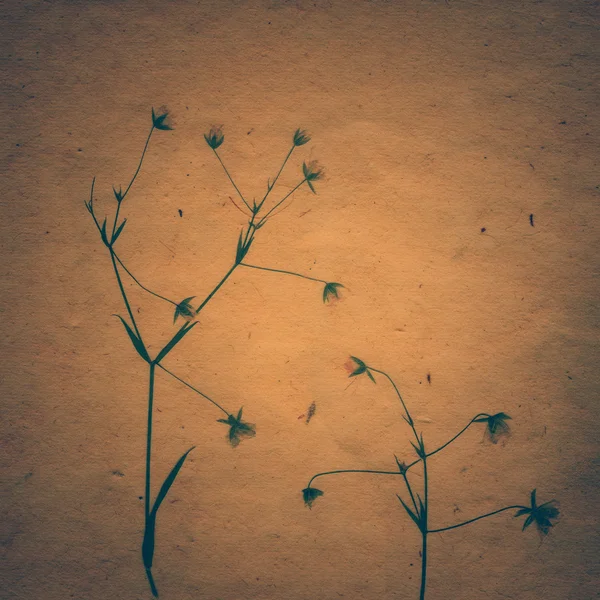 Carte Sepia Vintage avec Feuille, fleurs et Texture Vieux Papier . — Photo