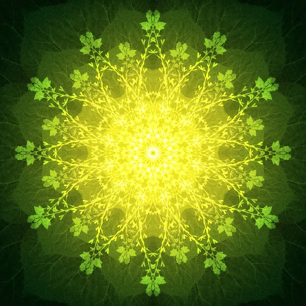 Light Flower Mandala with green background. Ornamental round floral Pattern. — 스톡 사진