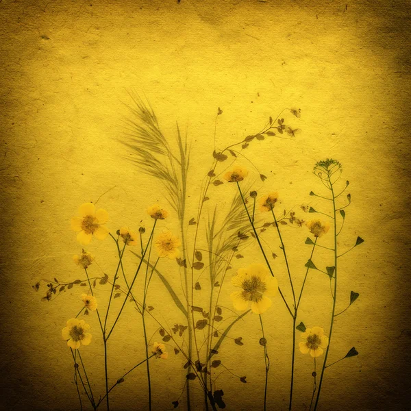 Sepia Vintage card with Leaves, yellow flowers and Old Paper Texture. — Stock Photo, Image