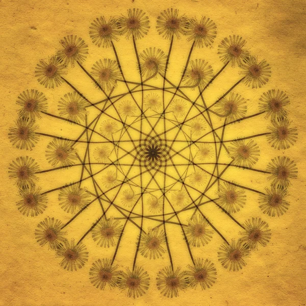 Flower Mandala with Yellow background. Ornamental round floral Pattern. — Stock Photo, Image