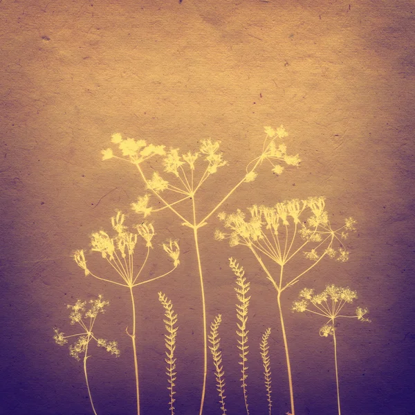 Carte Sepia Vintage avec Feuille, fleurs et Texture Vieux Papier . — Photo