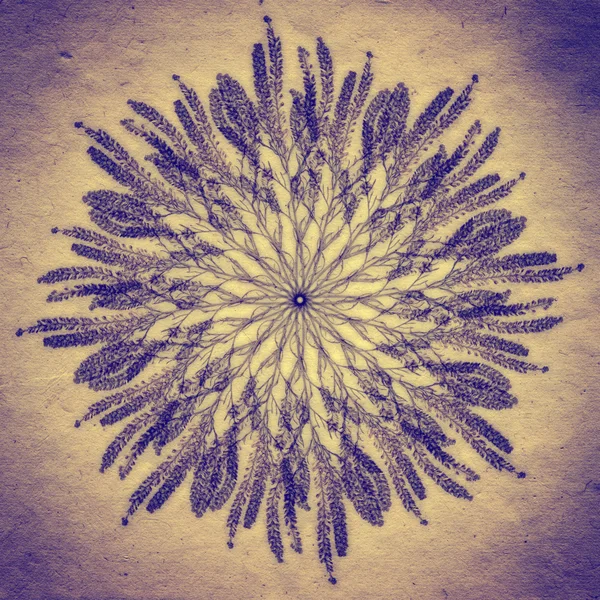 Çiçek Mandala eski kağıt arka plan ile. Dekoratif yuvarlak çiçek desenli. — Stok fotoğraf