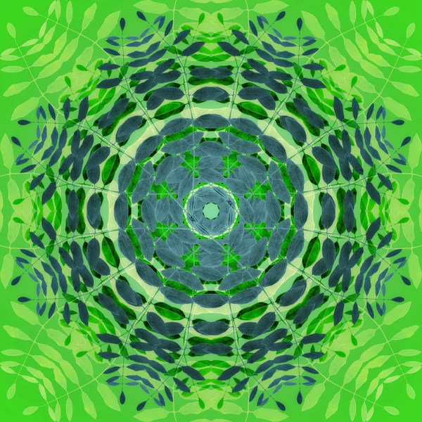 Mandala de flores con fondo verde. Patrón floral redondo ornamental . — Foto de Stock