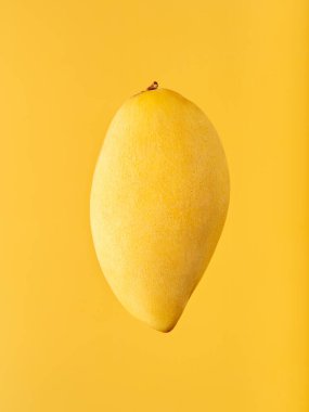 Olgun bir mango sarı arka planda havada süzülüyor. Tek renkli basit kompozisyon. Parlak ve neşeli taze tropikal meyve arka planı.