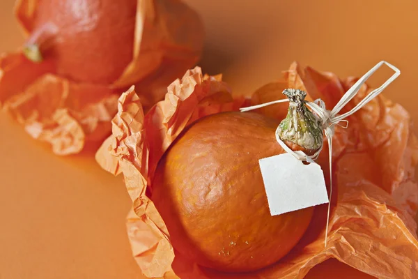 Levendige oranje pompoenen. — Stockfoto