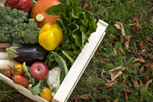 Taze bahçe üretmek içinde bir krater.