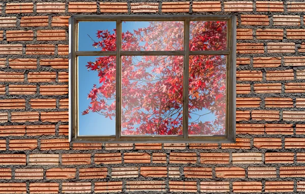autumn foliage color outside window with brick wall