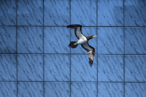 the art of bird painting on tile