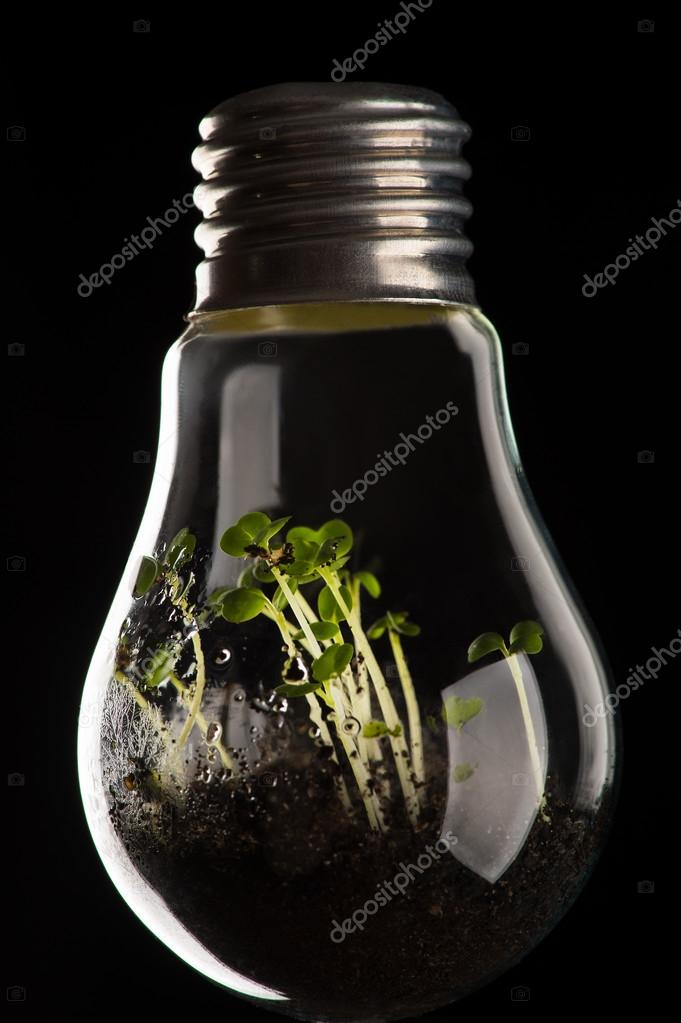Plants growing in light bulb, concept — Stock Photo © Dualshock 101793358