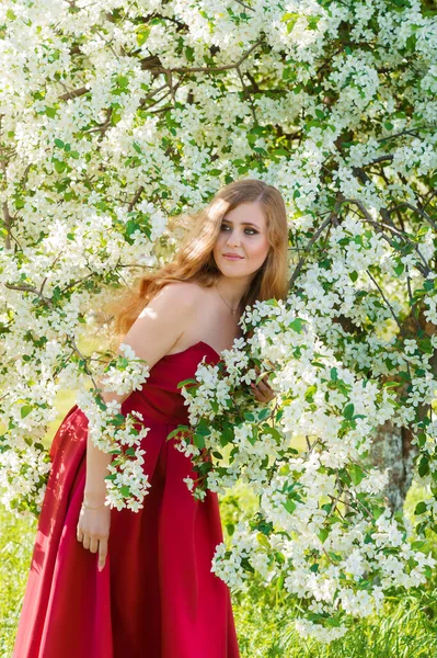 Piękna Kobieta Czerwonej Sukience Kwitnącym Drzewem Ogrodzie — Zdjęcie stockowe
