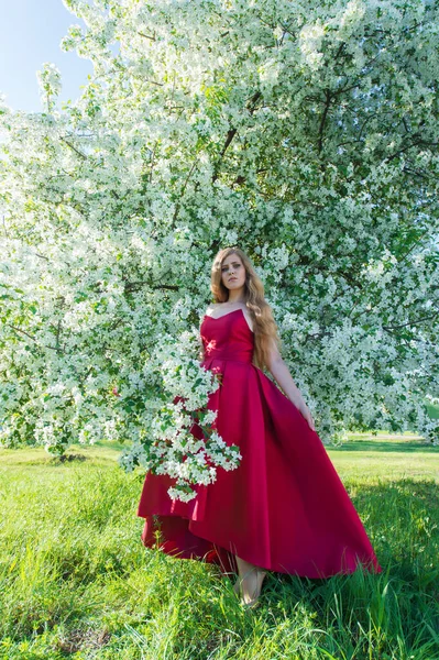 Fashionable Woman Red Dress Flowering Tree — 图库照片