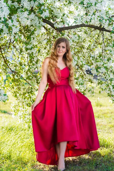 Woman Red Dress Garden — 图库照片